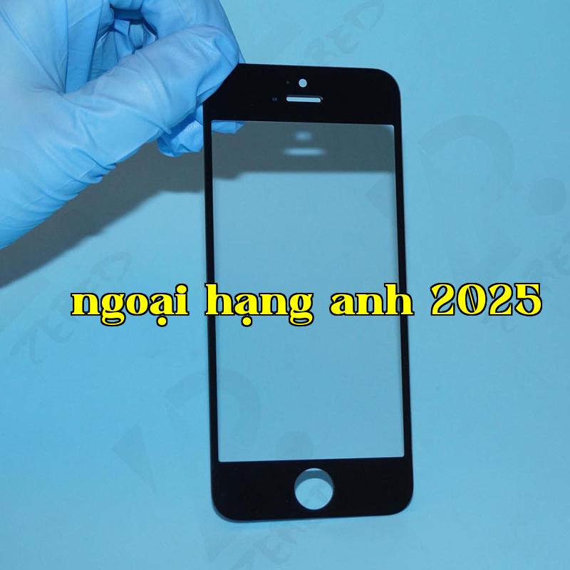 Mobile phone panel - black