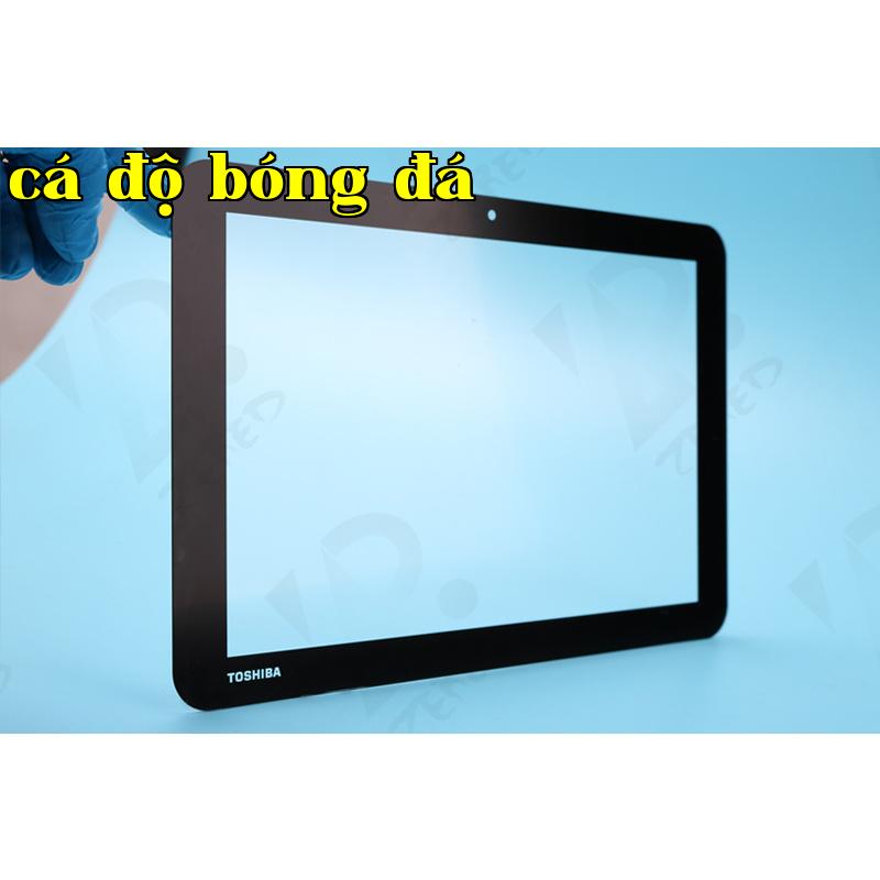 Kính bảo vệ màn hình 12