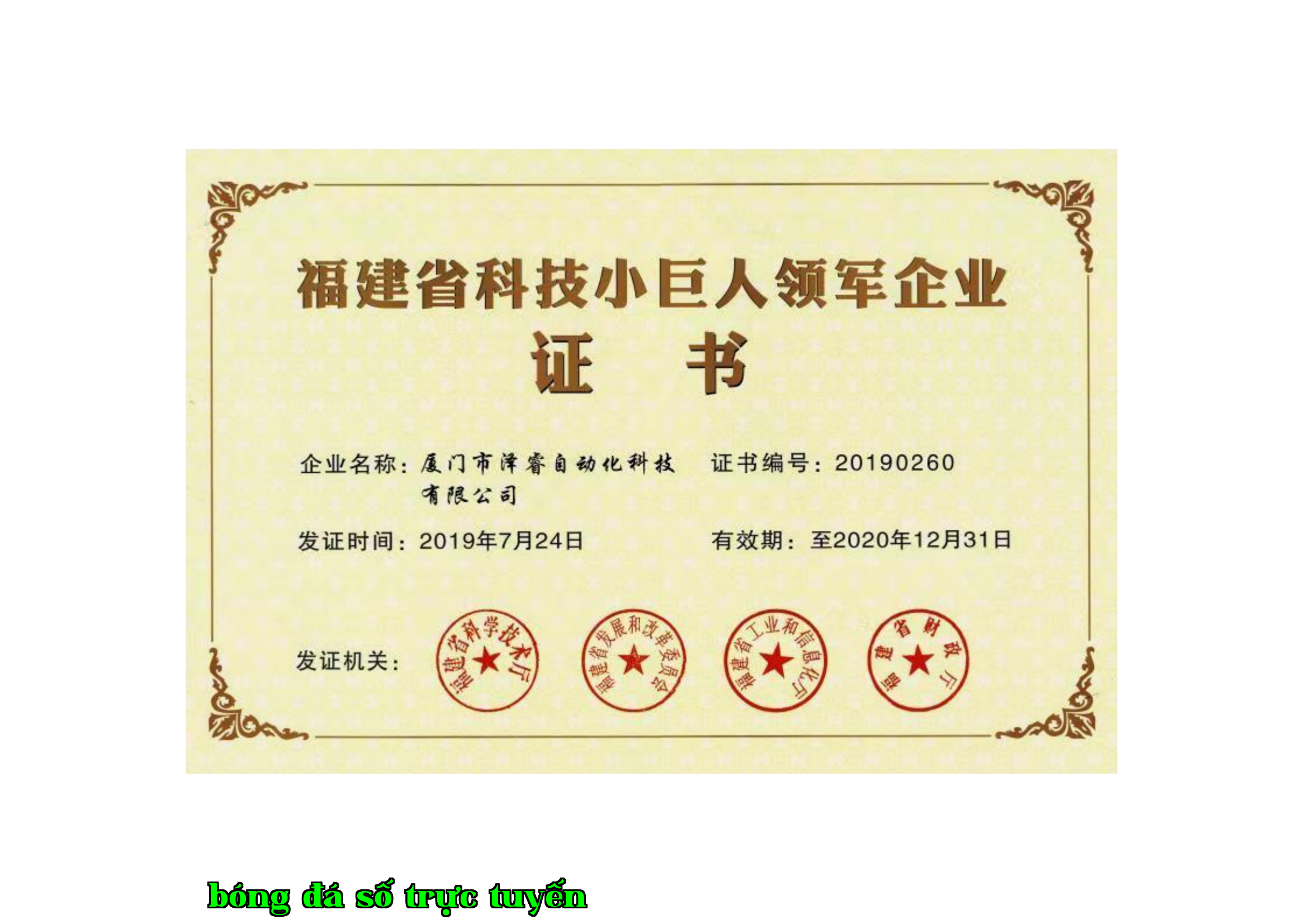 Doanh nghiệp Nhỏ Gia Cát của tỉnh Phúc Kiến