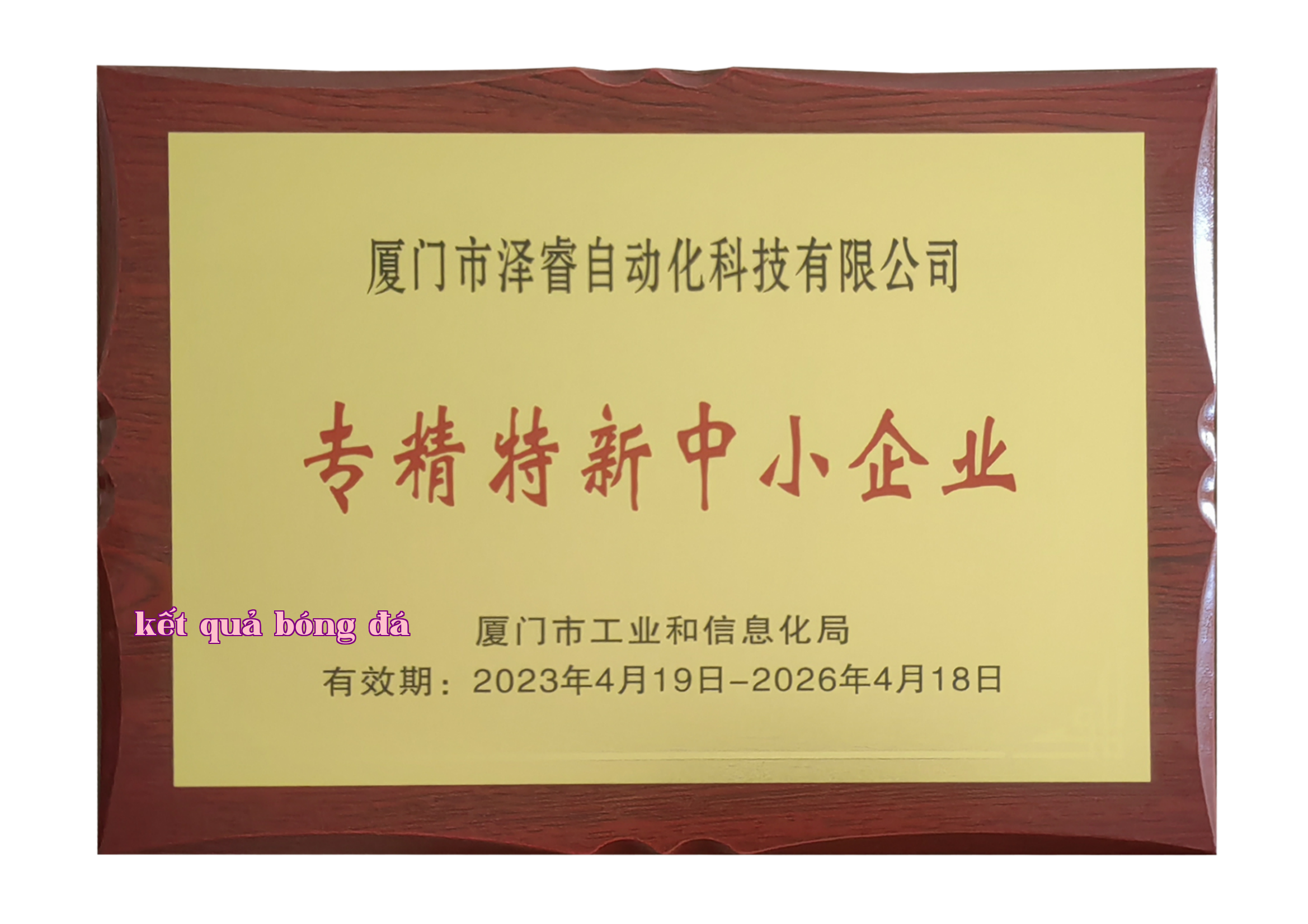 Doanh nghiệp vừa và nhỏ chuyên nghiệp, tinh hoa, chuyên môn cao