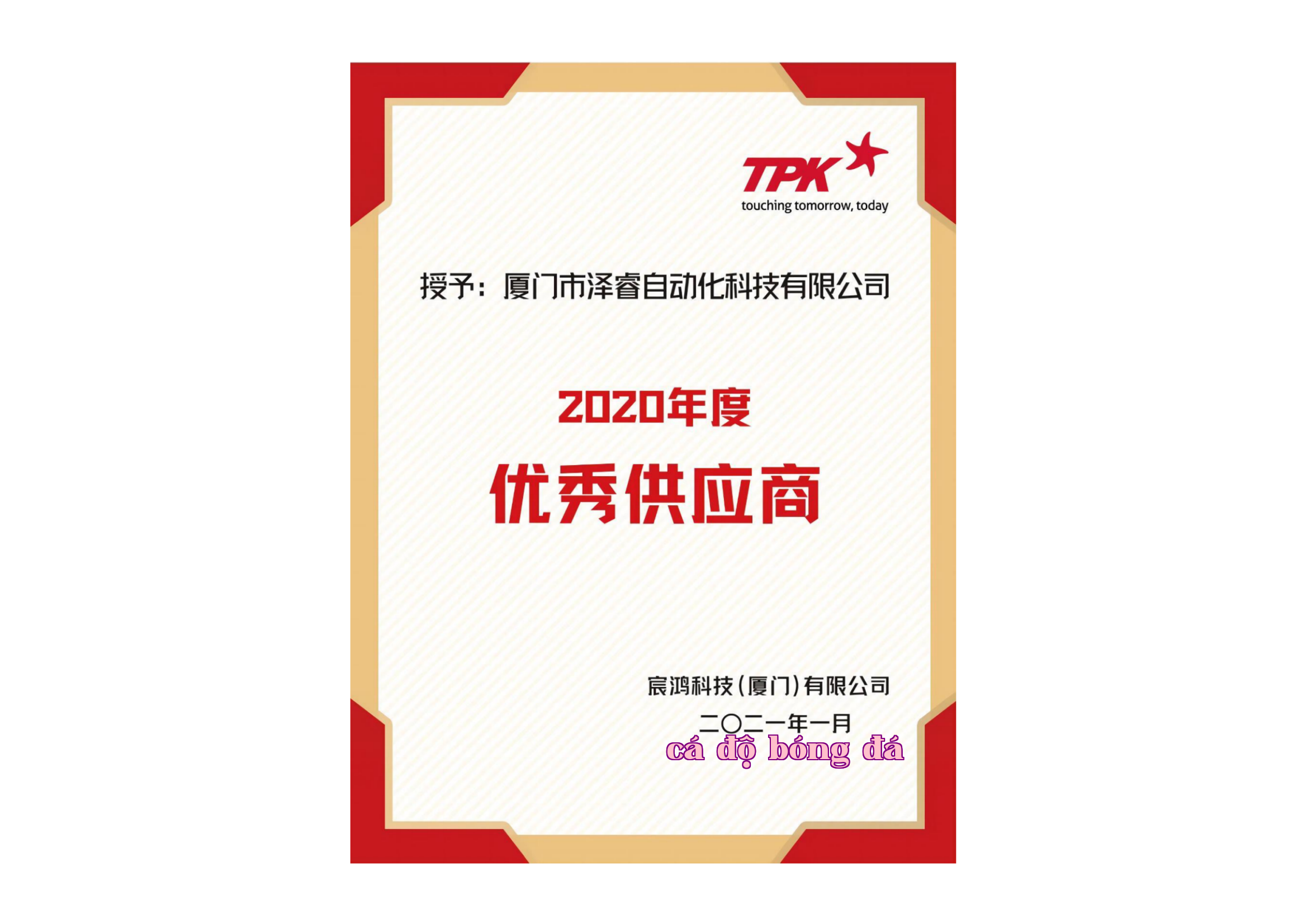 Nhà cung cấp Thiết bị Xuất sắc năm 2020